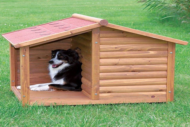 Köpek Kulübesi Çatısı Nasıl Yapılır?