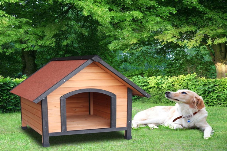 Köpek Kulübesi Hangi Malzemeden Yapılır?