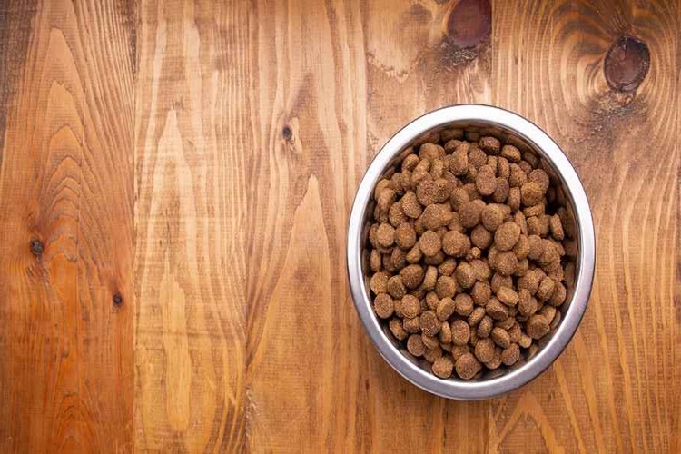 Köpek Maması Alırken Dikkat Edilmesi Gerekenler Nelerdir?