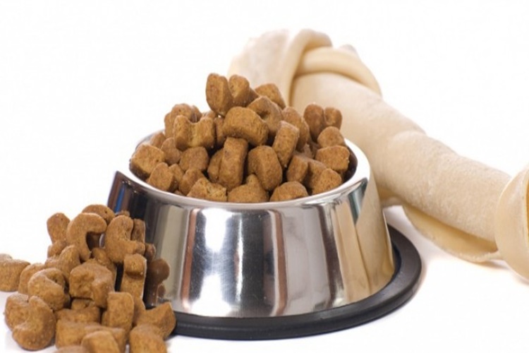Köpek Maması Islatılır Mı?