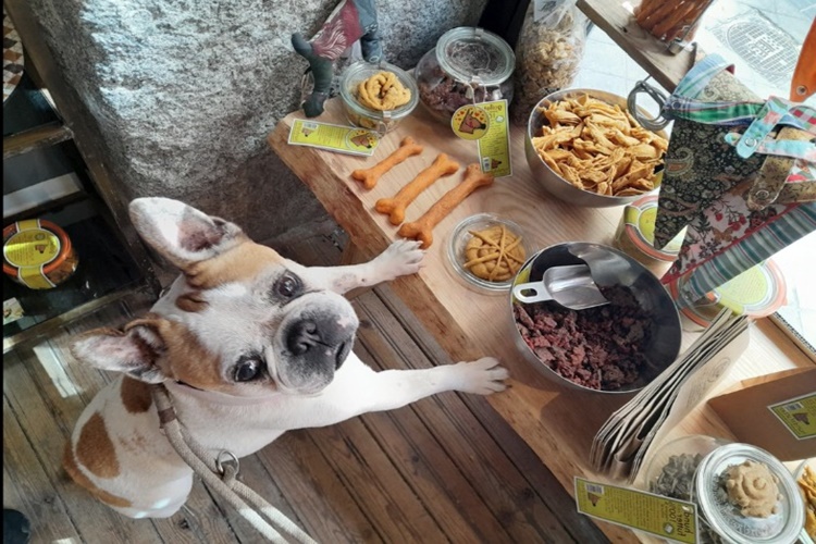 Köpek Nohut Yer Mi?