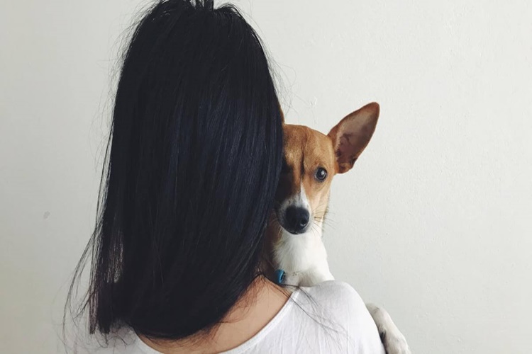 Köpek Saç Yerse Ne Olur?
