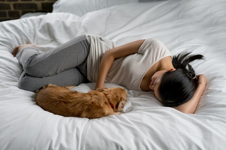 Köpek Uyuma Pozisyonları Nelerdir?