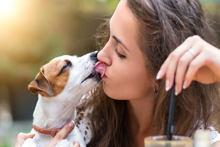 Köpek Yalaması Nasıl Durdurulur?