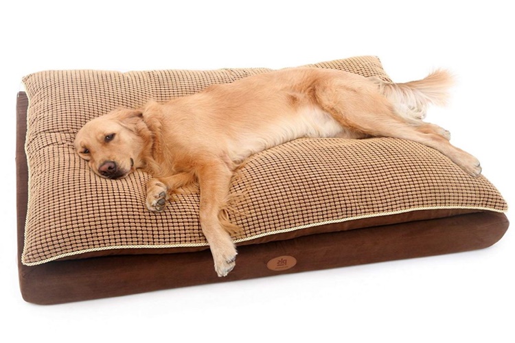 Köpek Yatağı Nasıl Yapılır?