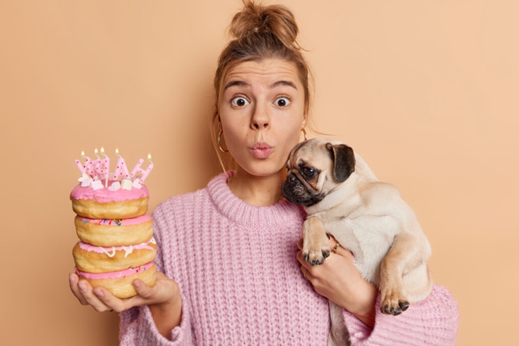 Köpeklere Tatlı Vermek Zararlı Mı?