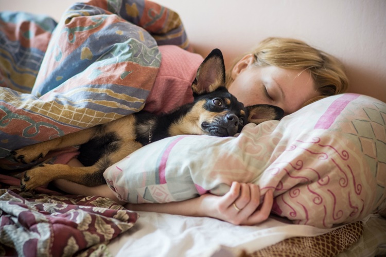 Köpeklerin Uyuma Saatleri Nedir?