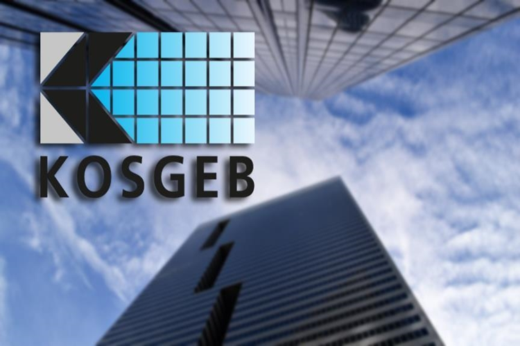 KOSGEB Desteklenen Sektörler Hangileridir?