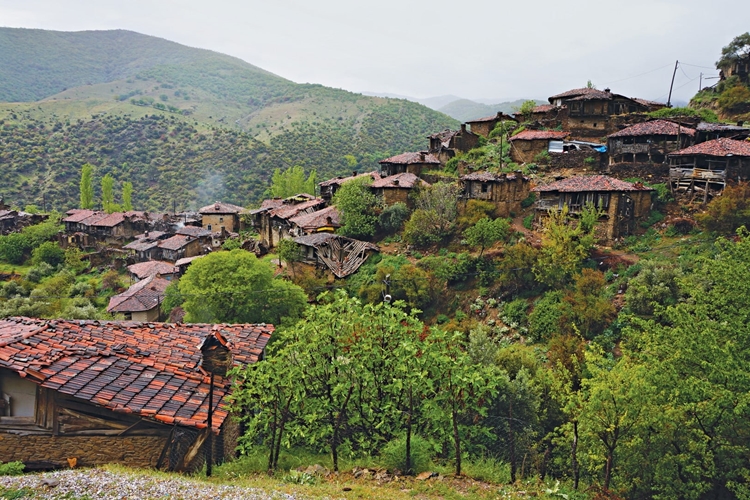 Köy Hazinesi Nasıl Satın Alınır?