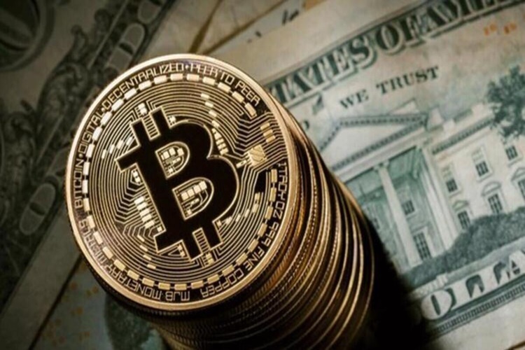 Kripto Para Borsası Nasıl Kurulur?