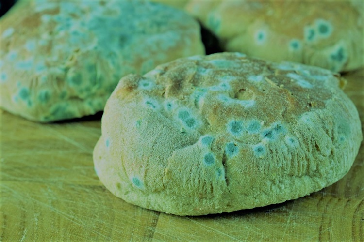 Küflenmiş Ekmek Yemek Tehlikeli mi?