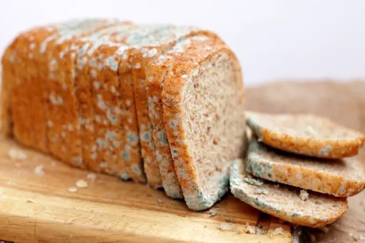 Küflü Ekmek Zehirler Mi?