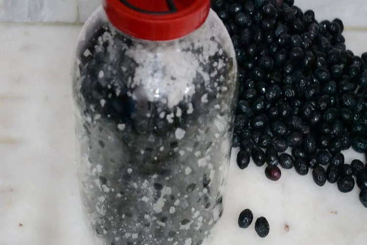 Küflü Zeytin Yedim Ne Yapmalıyım?