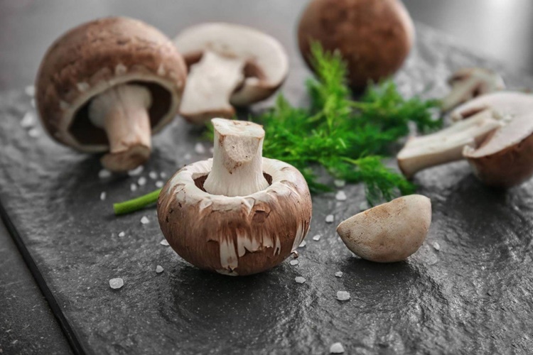 Kültür Mantarı Alerji Yapar Mı?
