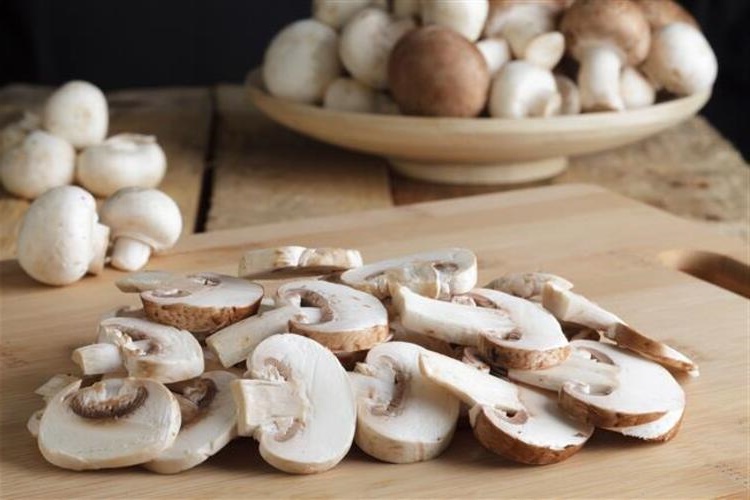 Kültür Mantarı Protein Oranı Nedir?