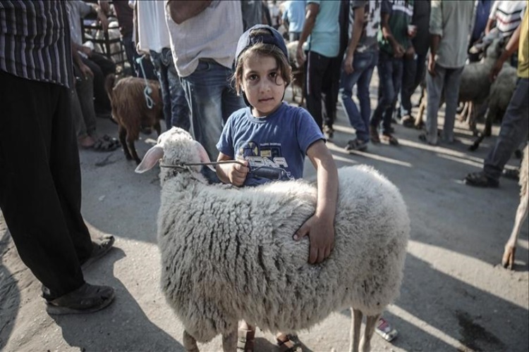 Kurban Eti Bağışı Kabul Eden Kurumlar Nelerdir? 