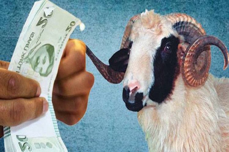 Kurban İkramiyesi 2022 Hangi Bankadan Alınır?