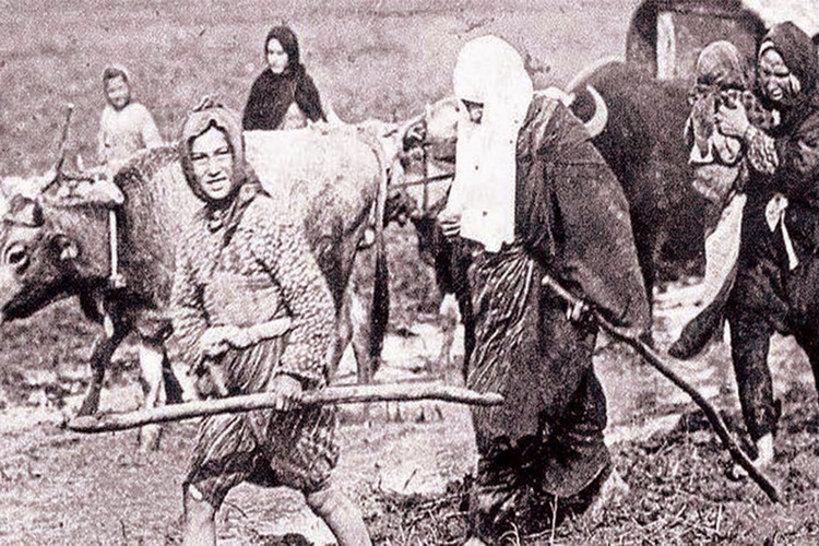 Kurtuluş Savaşı Kaç Kişi Ölmüştür?