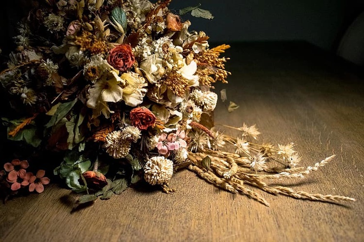 Kurumuş Çiçek Açar Mı?