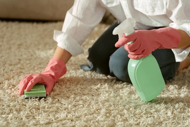 Kurumuş Slime Halıdan Nasıl Çıkar?