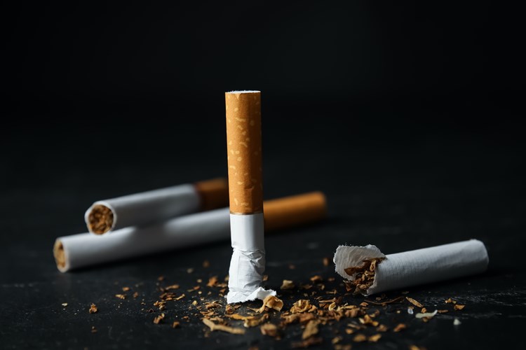 Kurumuş Tütün Nasıl Nemlendirilir?