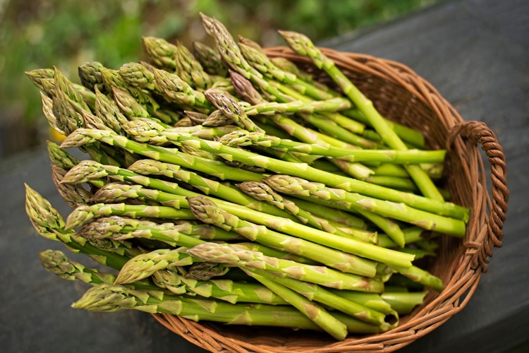 Kuşkonmaz Bakımı Nasıl Olur?