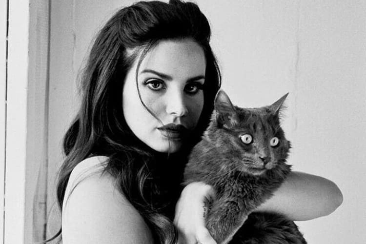 Lana Del Rey Burnu Estetik Mi?