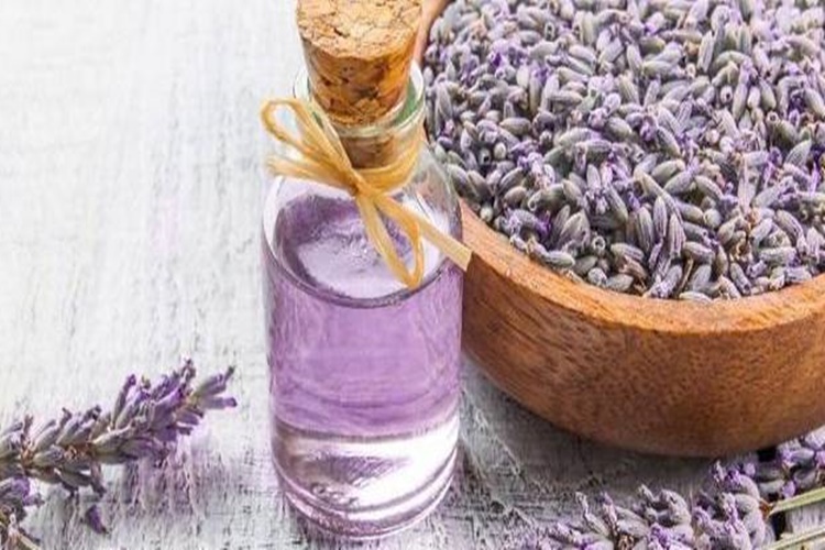 Lavanta Kürü Haftada Kaç Gün Uygulanır?
