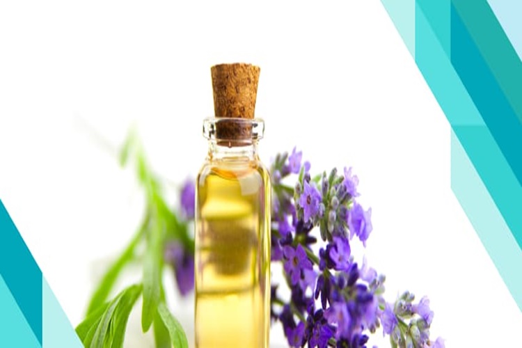 Lavanta Yağı Diş Ağrısına İyi Gelir Mi?