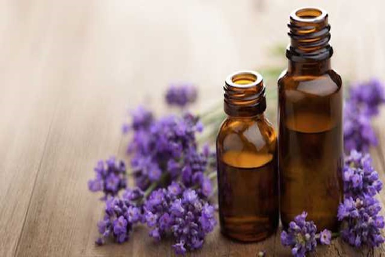 Lavanta Yağı Eczanede Satılır Mı?