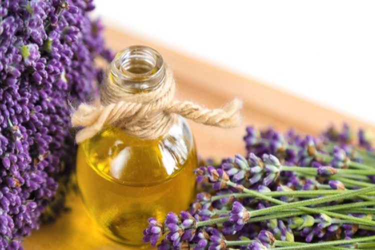 Lavanta Yağı Sürdükten Sonra Yıkanır Mı?