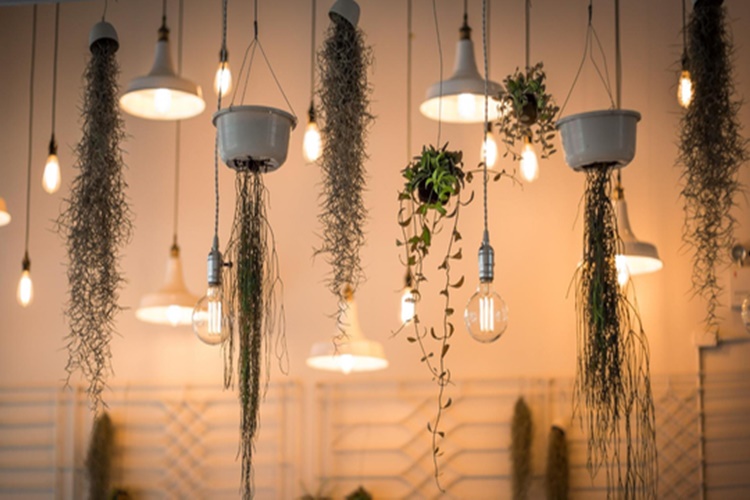 Led Kaç Saat Çalışır?