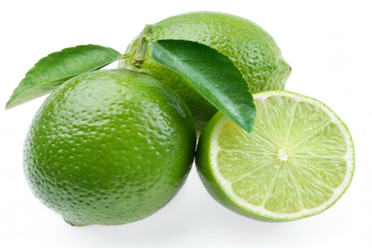 Lime Nerede Satılır?