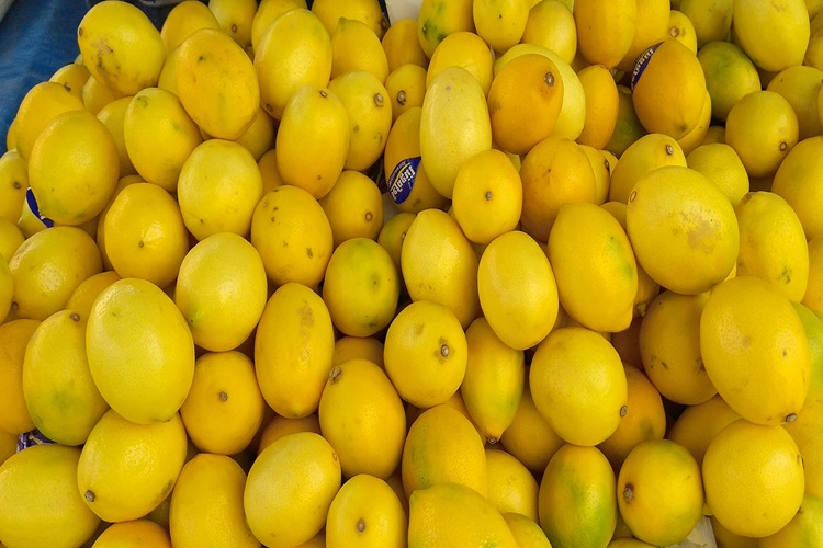 Limon Gören Bir Kişinin Ağzının Sulanması Modifikasyon Mudur?