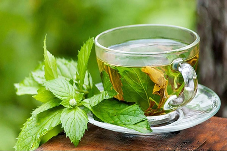Limon Melisa Çayı Bebeklere Verilir Mi?