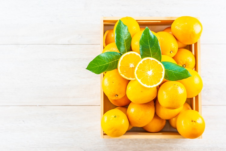 Limon Nasıl Toplanır?