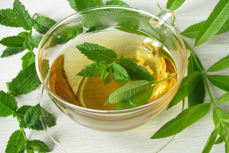 Limon Otu Faydaları Nelerdir?