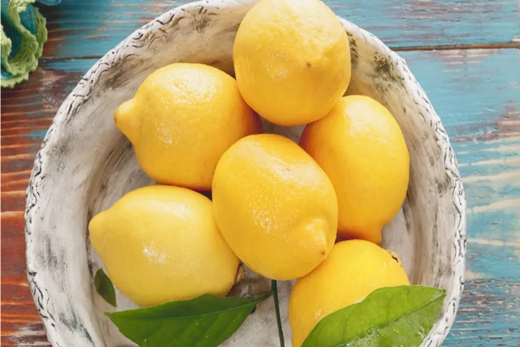 Limon Servi Ne Zaman Budanır?