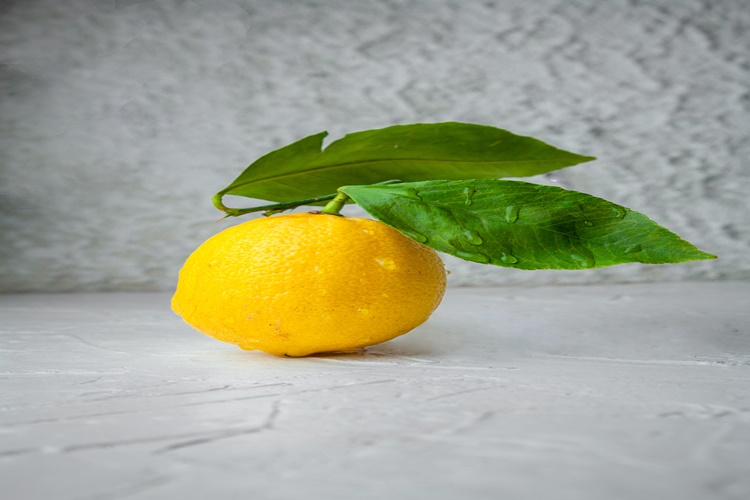 Limon Yaprağı Neden Sararır?