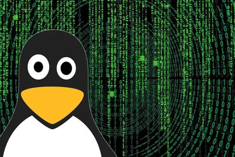 Linux Çalışma Seviyeleri Nelerdir?