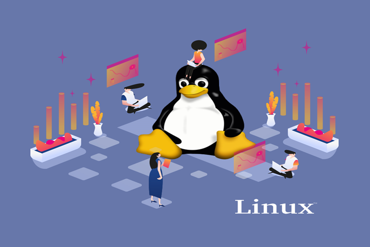 Linux İşletim Sistemi Nasıl Kurulur