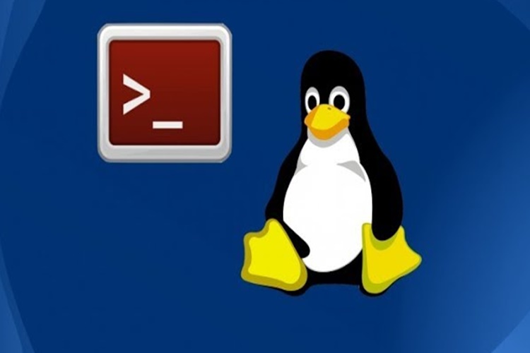 Linux Klasör Oluşturma Nasıl Yapılır?