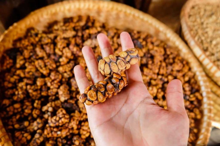 Luwak Kahvesi Nasıl Demlenir?