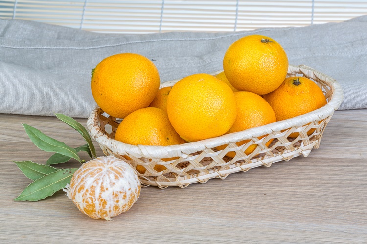 Mandalina Ne Zaman Çiçek Açar?