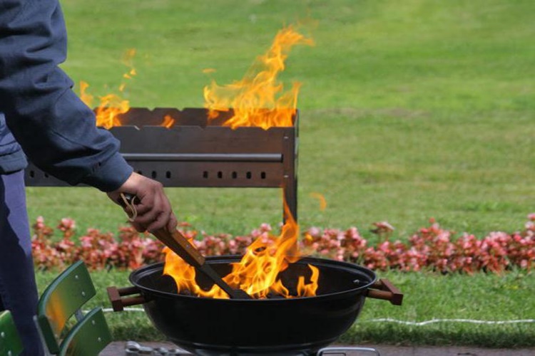 Mangal Jeli Zararlı Mıdır?