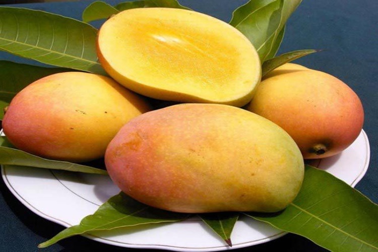 Mango Meyvesi Besin Değeri Kaçtır?