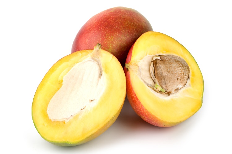 Mango Tohumu Nasıl Ekilir?