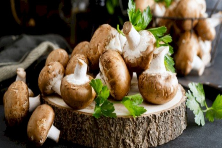 Mantar Yıkanınca Bozulur Mu? Güncel Oku