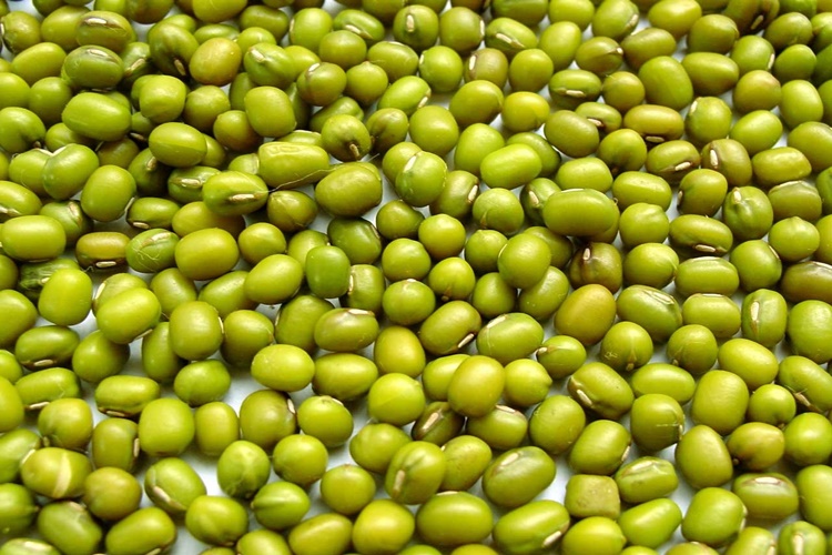 Maş Fasulyesi Gluten İçerir Mi?