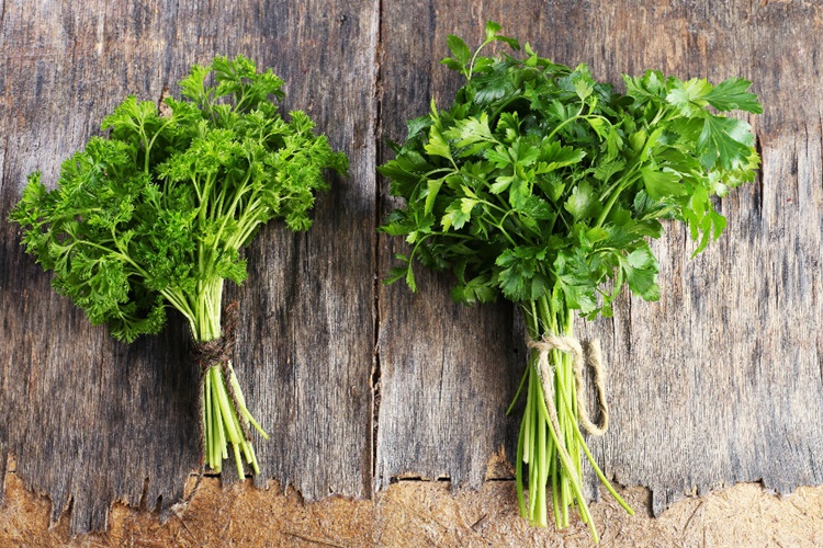 Maydanoz Buzlukta Nasıl Saklanır?